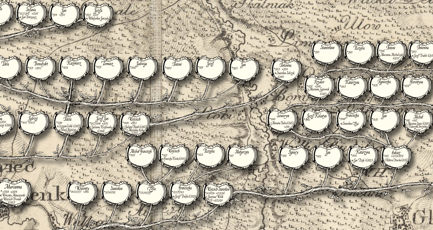 Drzewo genealogiczne rodziny Zaborski - Poster