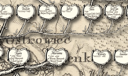 Drzewo genealogiczne rodziny Zaborski - Poster