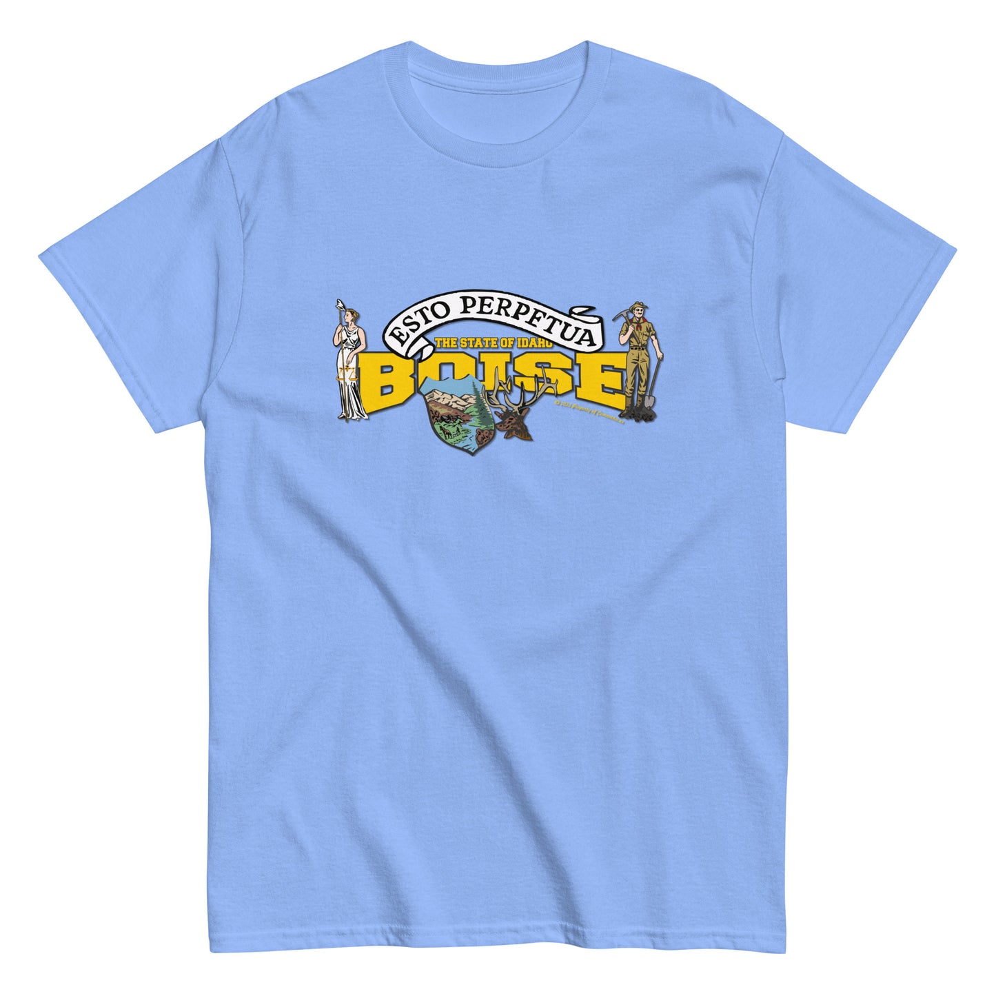 Boise Idaho State T-shirt,