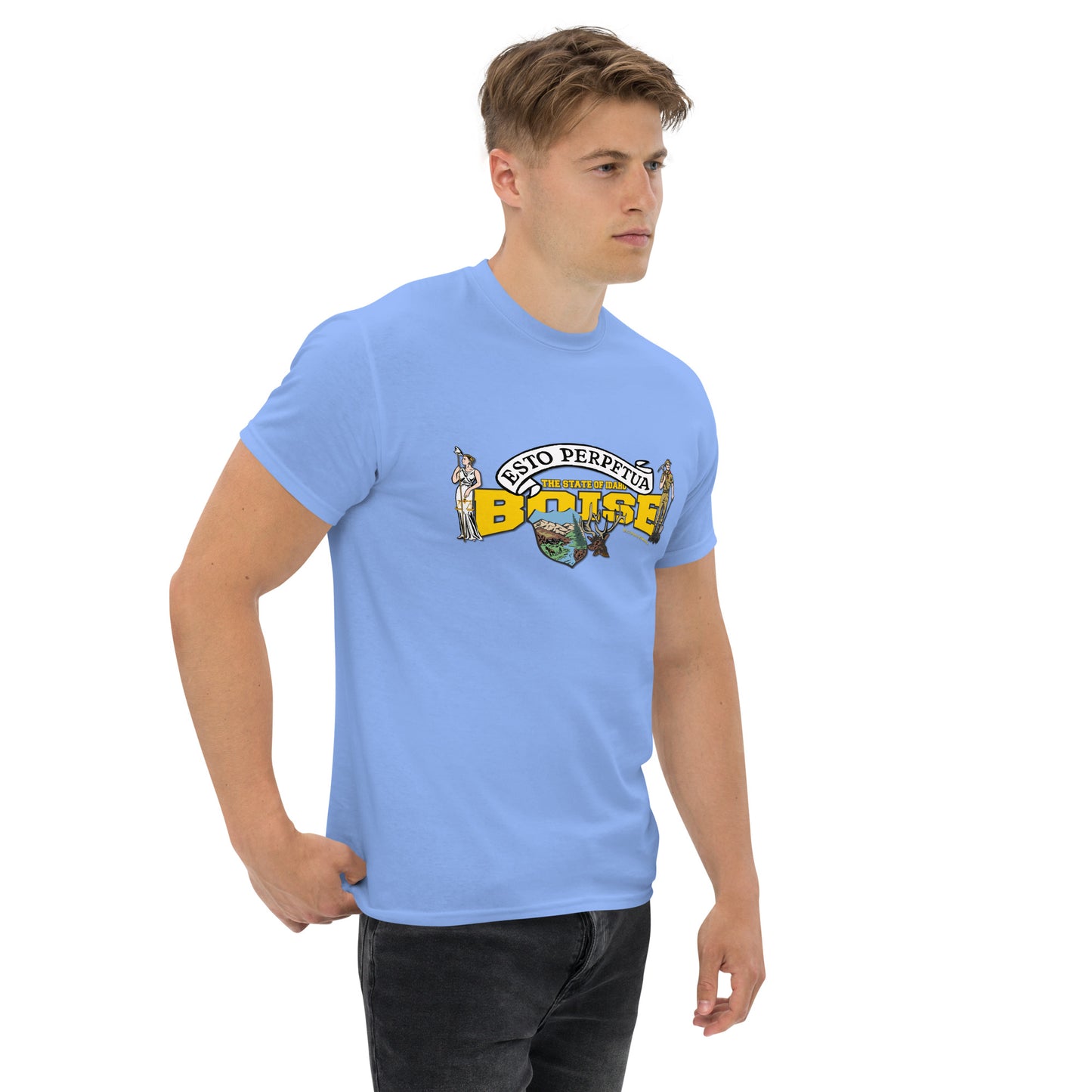Boise t-shirt, Idaho State T-shirt, Comancha Graphics,