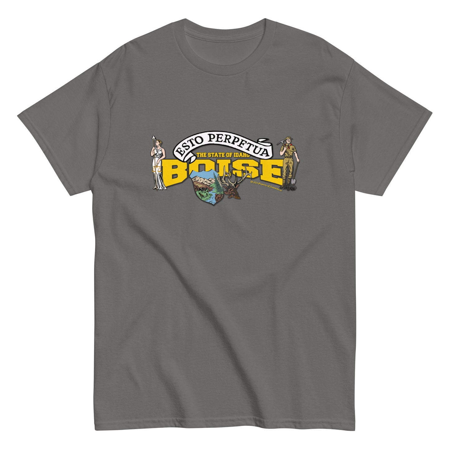 Boise Idaho State T-shirt,