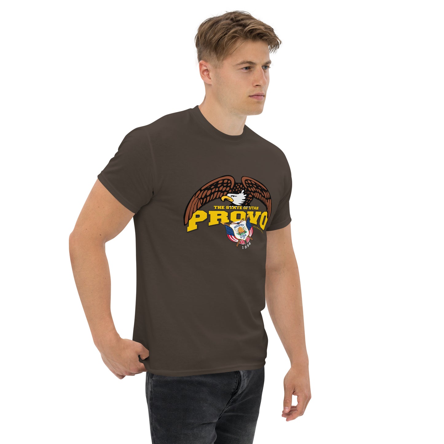 Provo t-shirt,PROVO City t-shirt, Utah State T-shirt,comancha graphics,