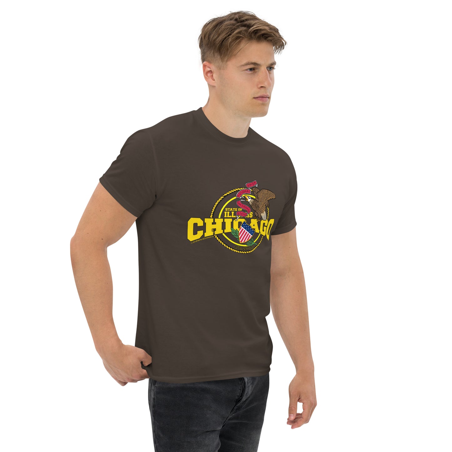 Chicago t-shirt, Illinois T-Shirt, Comancha Graphics,