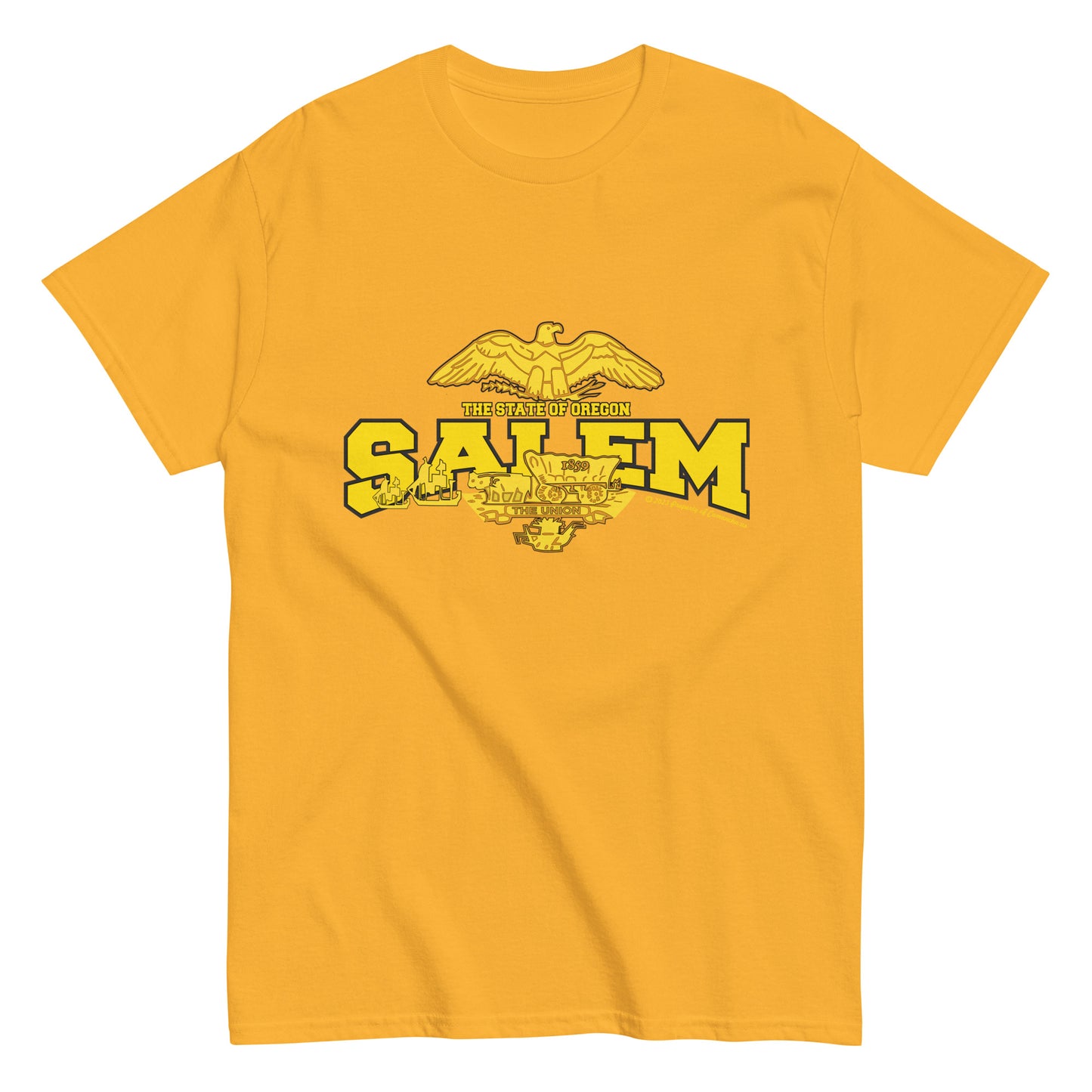 Salem - Oregon State USA T-shirt,