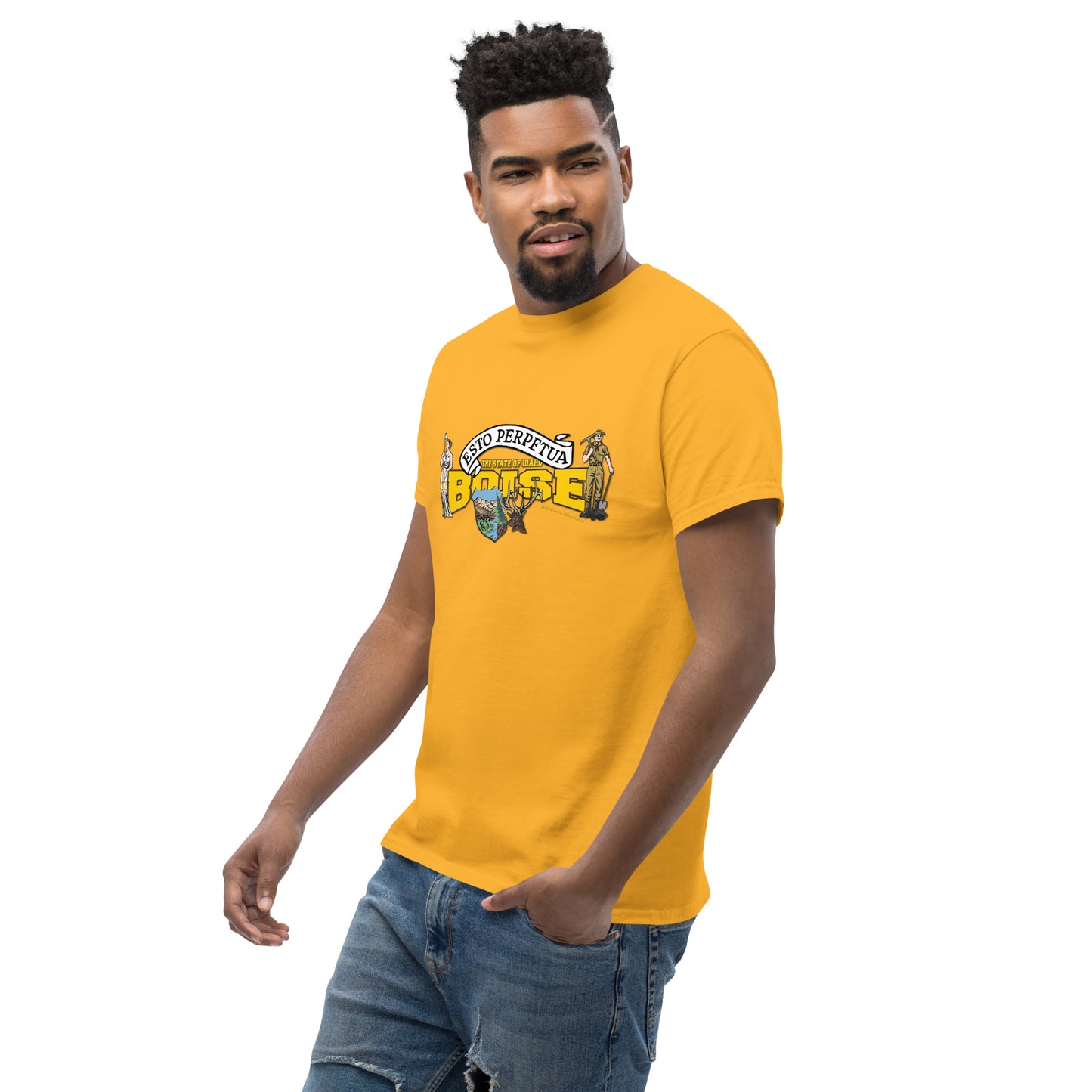 Boise t-shirt, Idaho State T-shirt, Comancha Graphics,