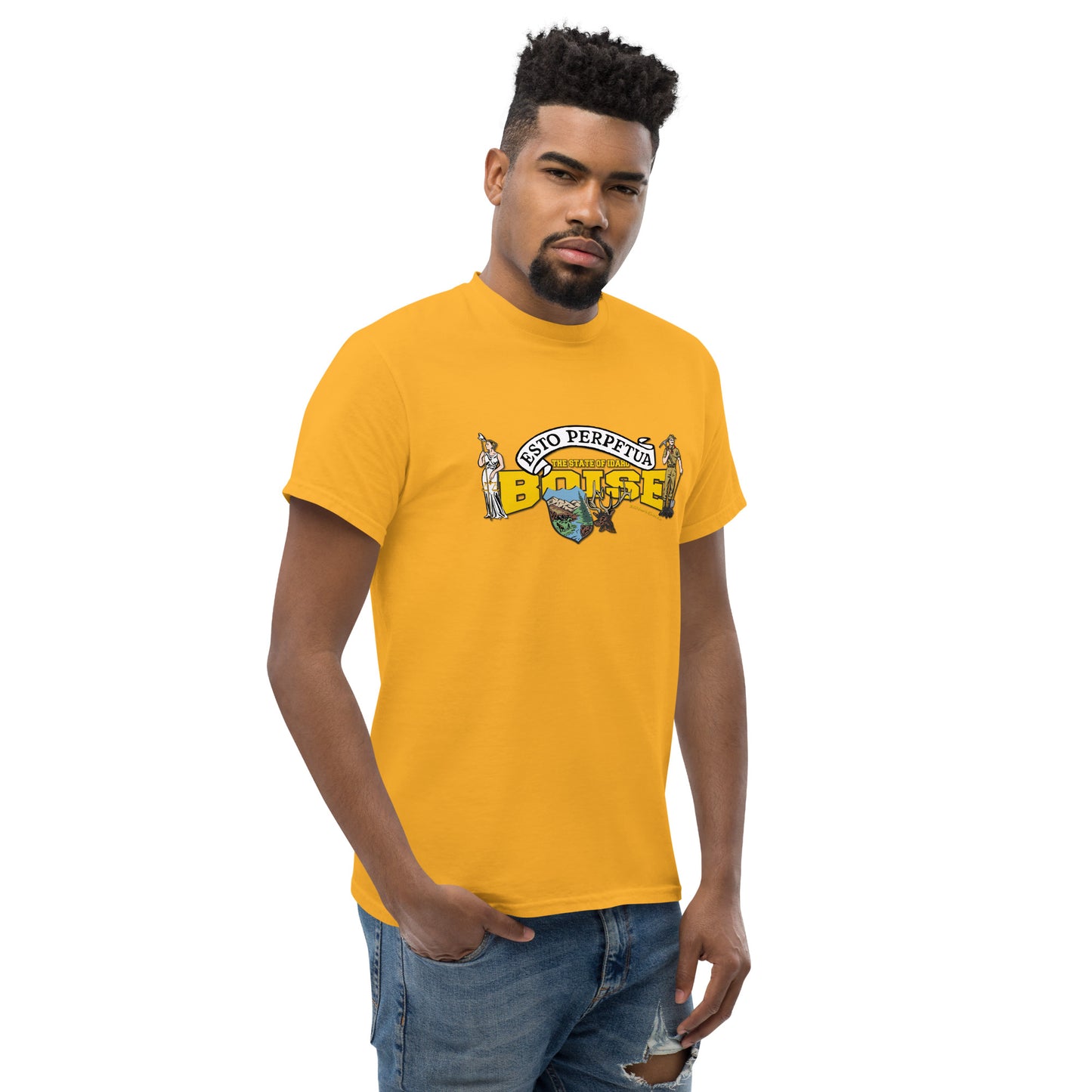 Boise t-shirt, Idaho State T-shirt, Comancha Graphics,