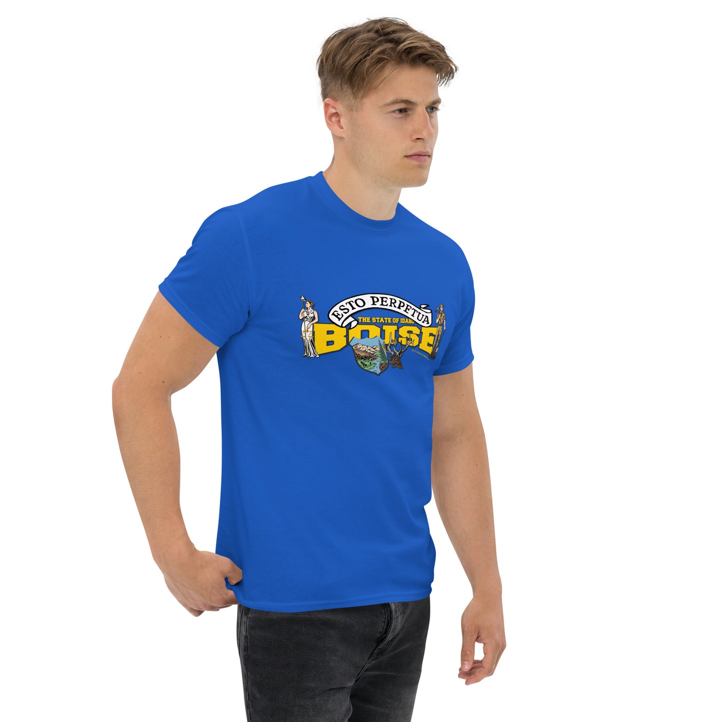 Boise t-shirt, Idaho State T-shirt, Comancha Graphics,