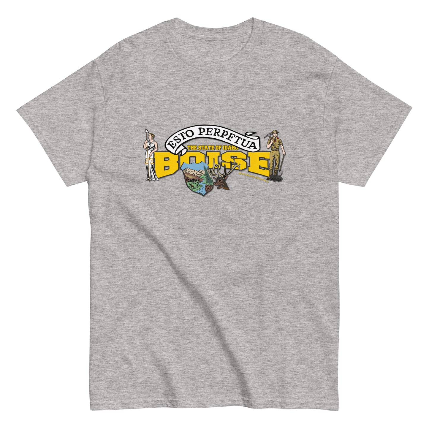 Boise Idaho State T-shirt,