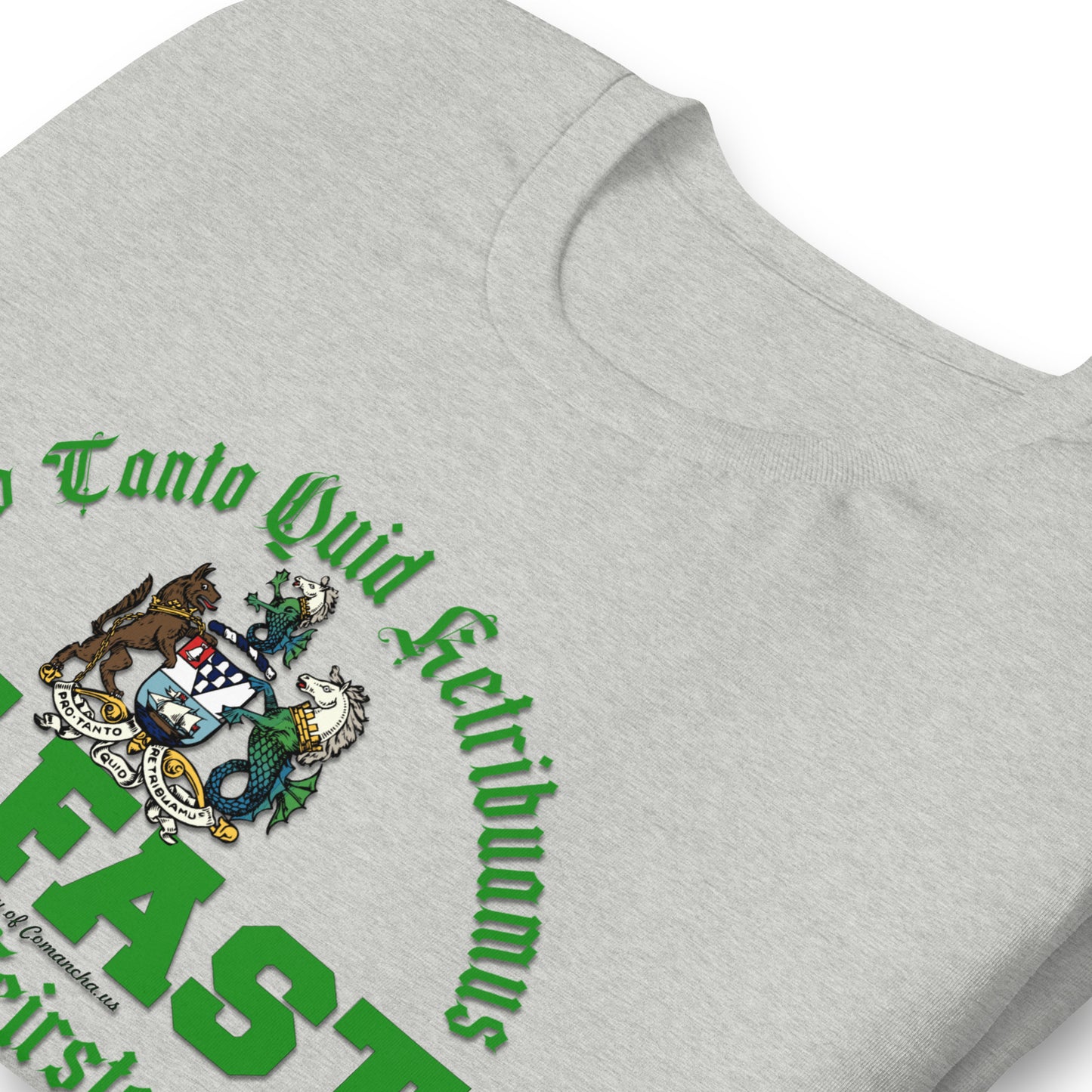 BELFAST tee, BELFAST T-shirt, BELFAST ireland tee,BELFAST Northern Ireland t-shirt, Comancha Graphics,