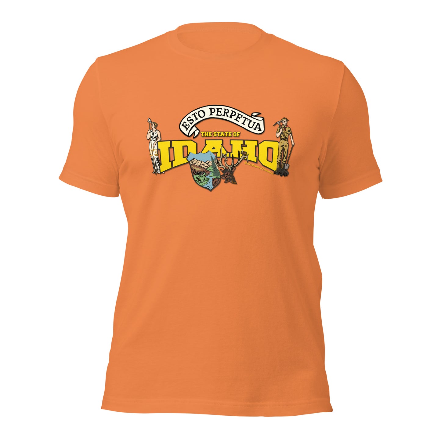 Nevada State Tee,The State Of Nevada t-shirt, Comancha Graphics,State Nevada t-shirt, Comancha Graphics tee,