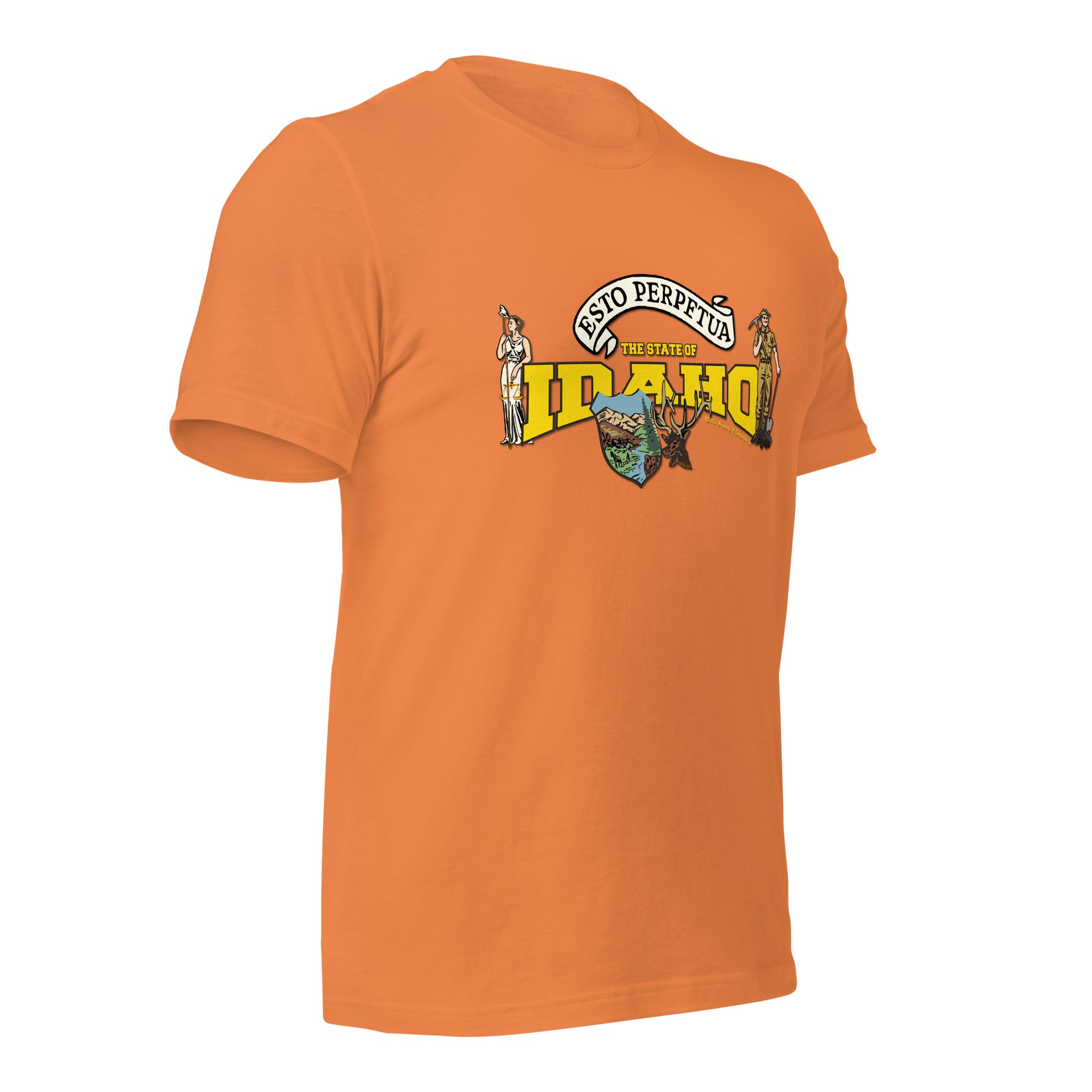Nevada State Tee,The State Of Nevada t-shirt, Comancha Graphics,State Nevada t-shirt, Comancha Graphics tee,