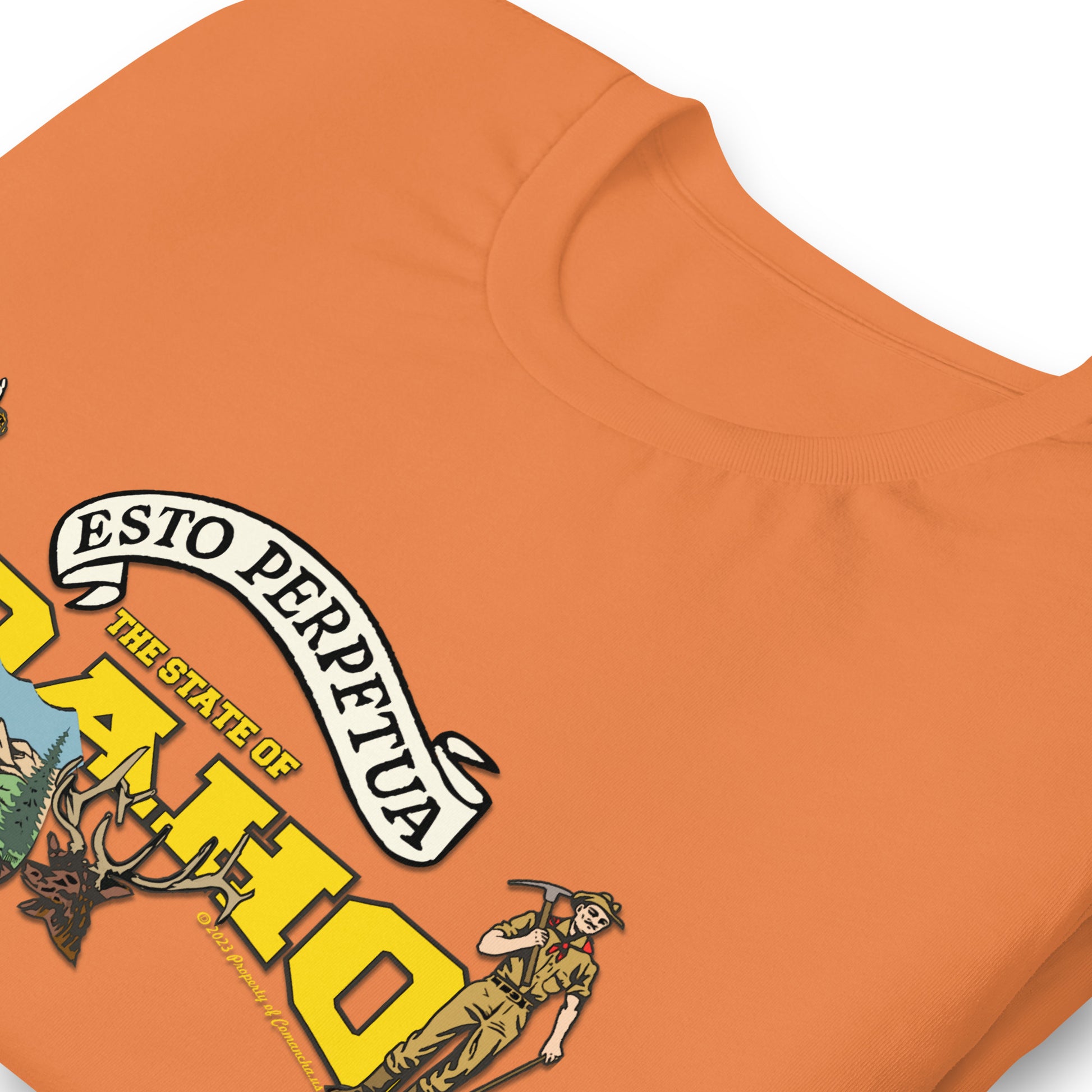 Nevada State Tee,The State Of Nevada t-shirt, Comancha Graphics,State Nevada t-shirt, Comancha Graphics tee,