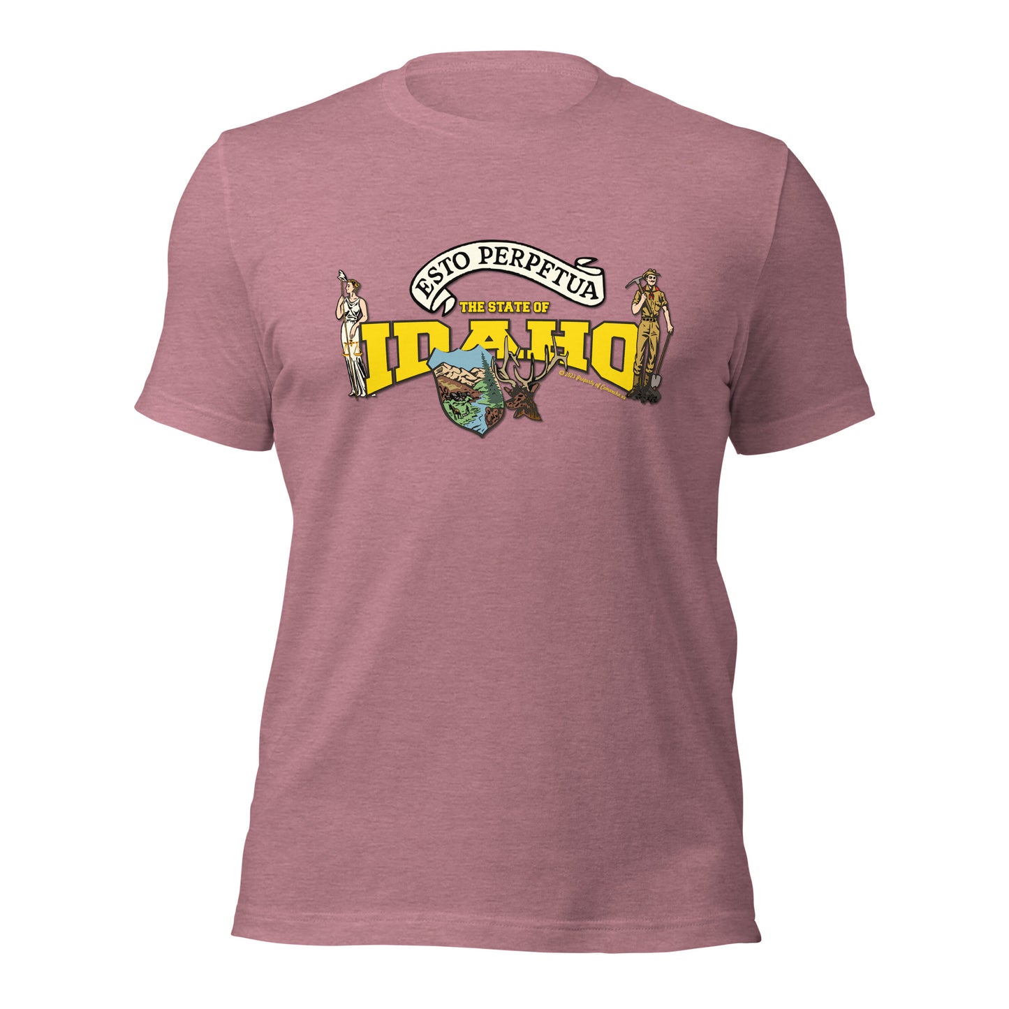 Nevada State Tee,The State Of Nevada t-shirt, Comancha Graphics,State Nevada t-shirt, Comancha Graphics tee,