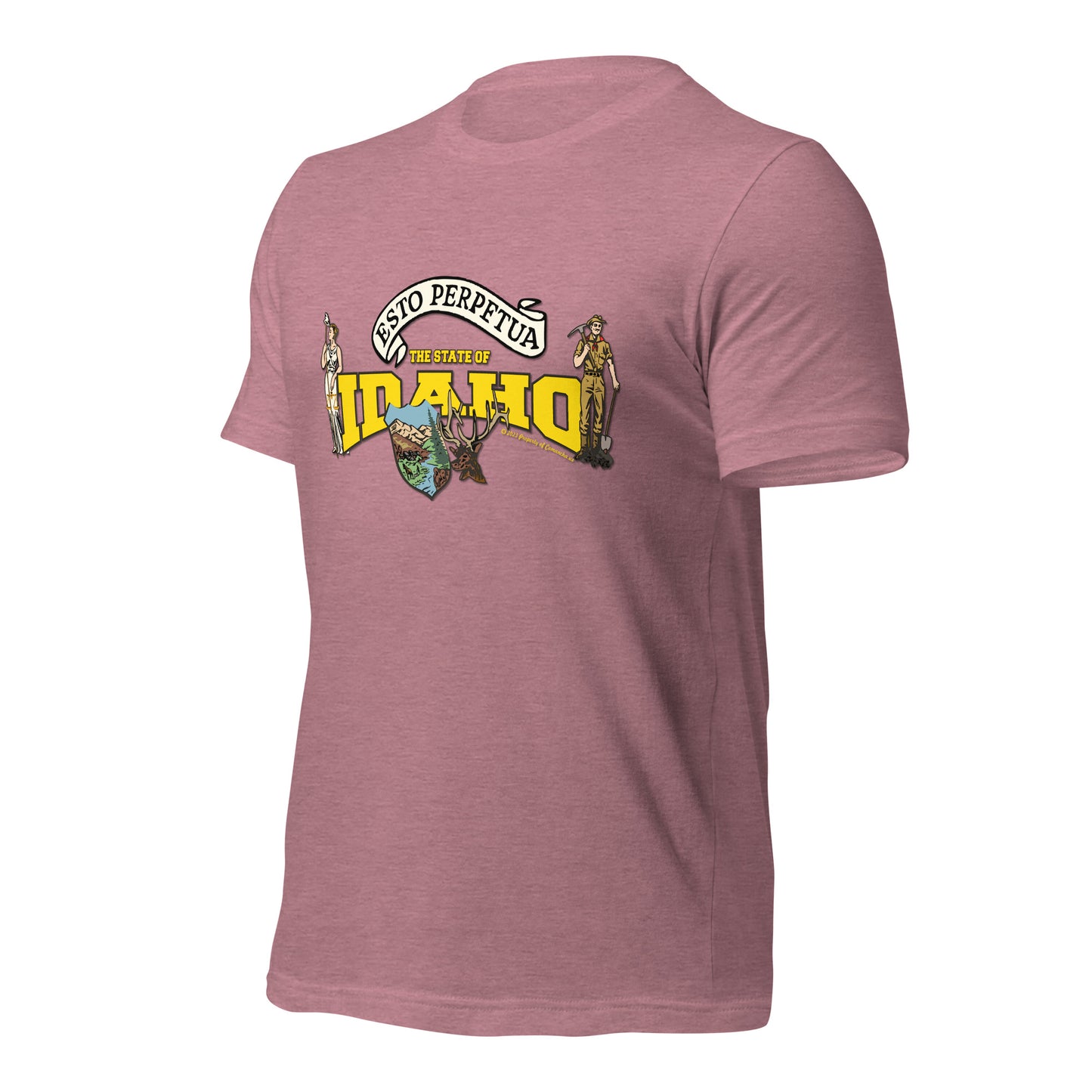 Nevada State Tee,The State Of Nevada t-shirt, Comancha Graphics,State Nevada t-shirt, Comancha Graphics tee,
