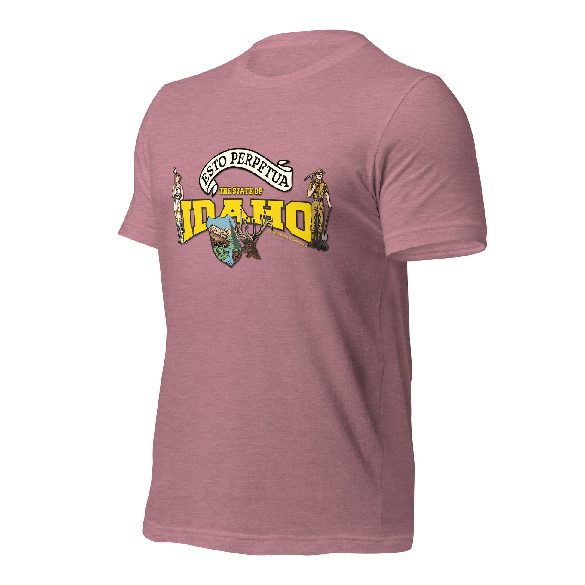 Nevada State Tee,The State Of Nevada t-shirt, Comancha Graphics,State Nevada t-shirt, Comancha Graphics tee,