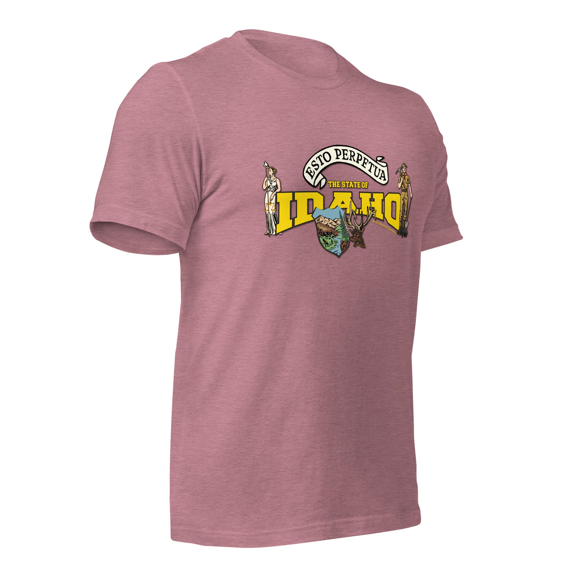 Nevada State Tee,The State Of Nevada t-shirt, Comancha Graphics,State Nevada t-shirt, Comancha Graphics tee,