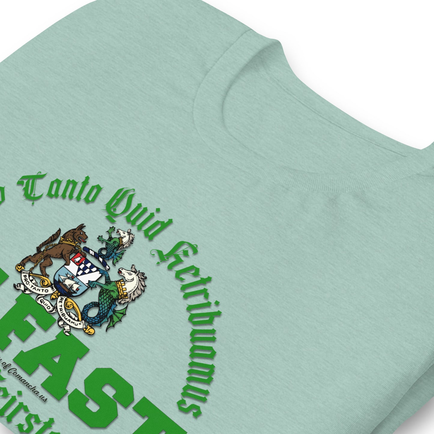 BELFAST tee, BELFAST T-shirt, BELFAST ireland tee,BELFAST Northern Ireland t-shirt, Comancha Graphics,