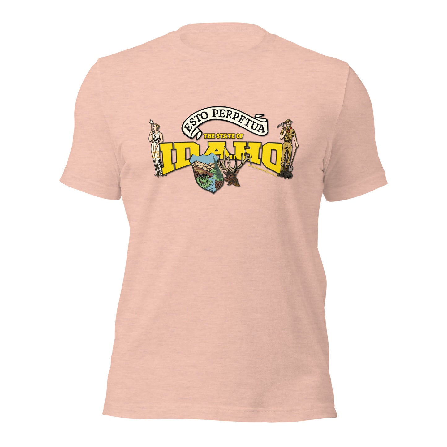 Nevada State Tee,The State Of Nevada t-shirt, Comancha Graphics,State Nevada t-shirt, Comancha Graphics tee,