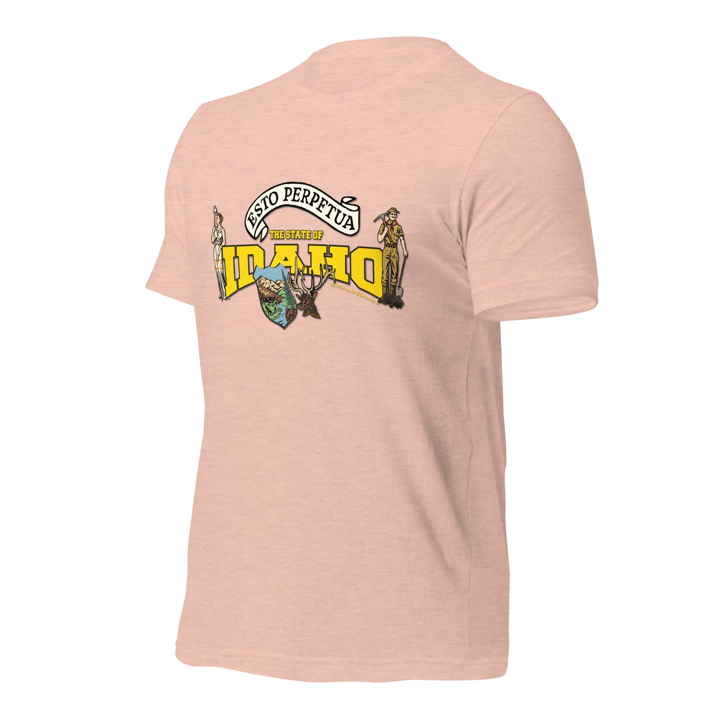 Nevada State Tee,The State Of Nevada t-shirt, Comancha Graphics,State Nevada t-shirt, Comancha Graphics tee,