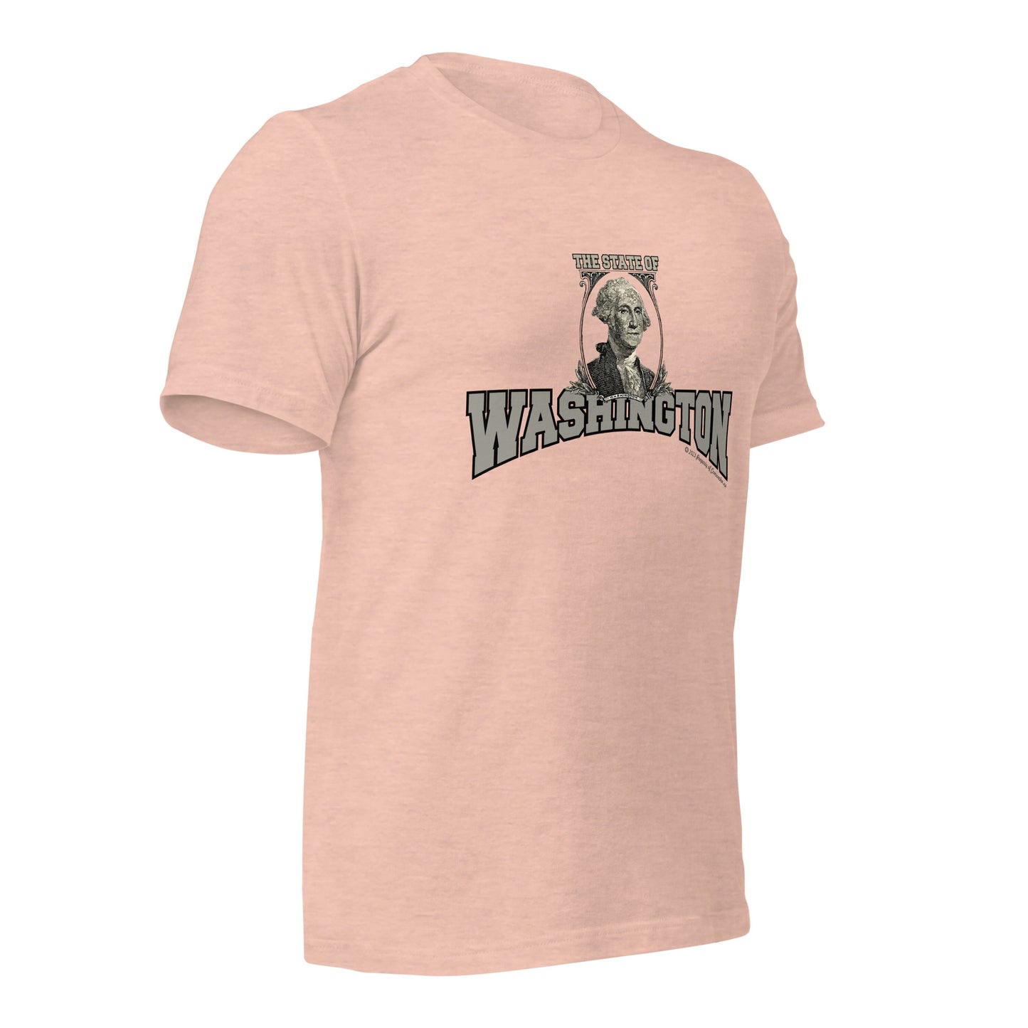 The State Of Washington t-shirt