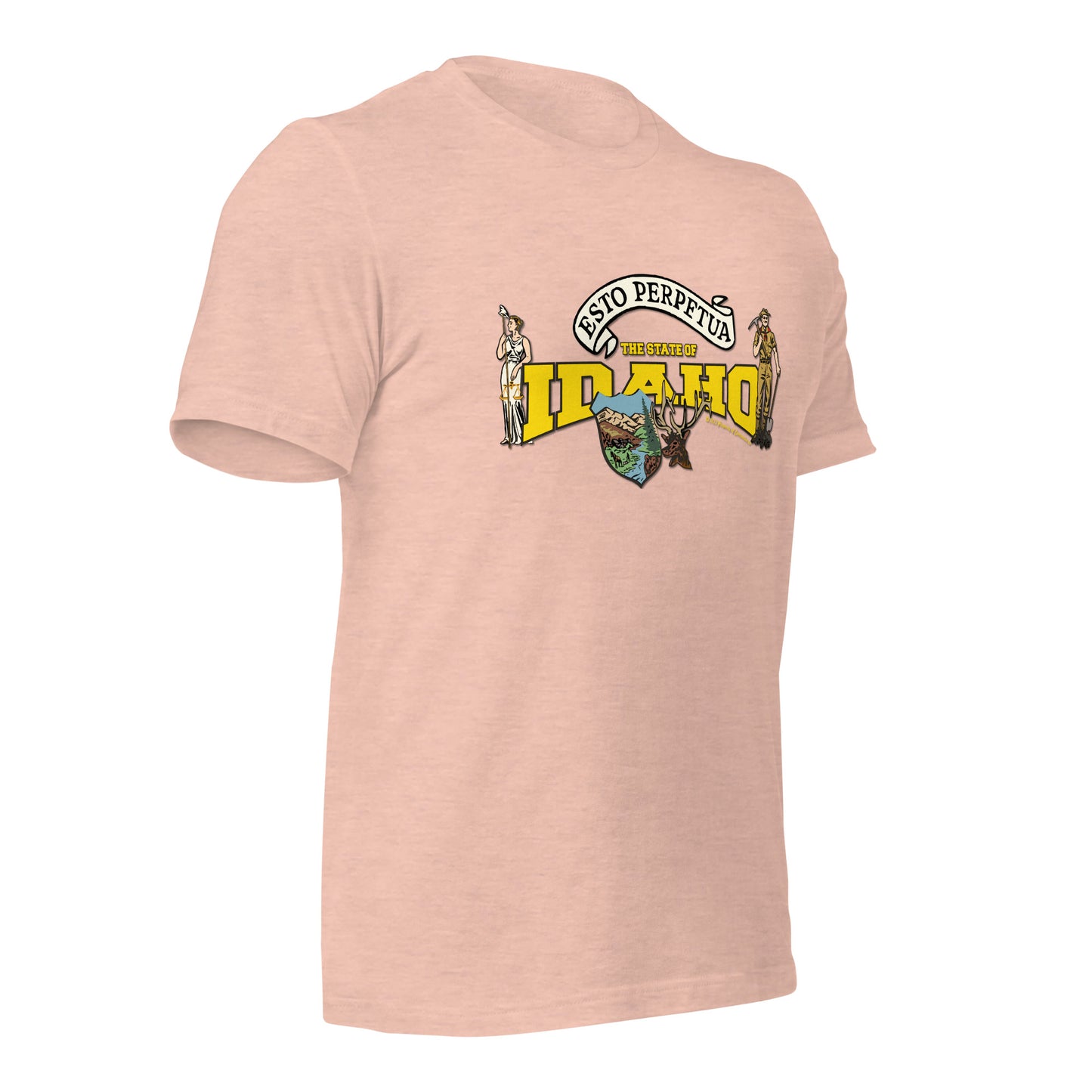 Nevada State Tee,The State Of Nevada t-shirt, Comancha Graphics,State Nevada t-shirt, Comancha Graphics tee,