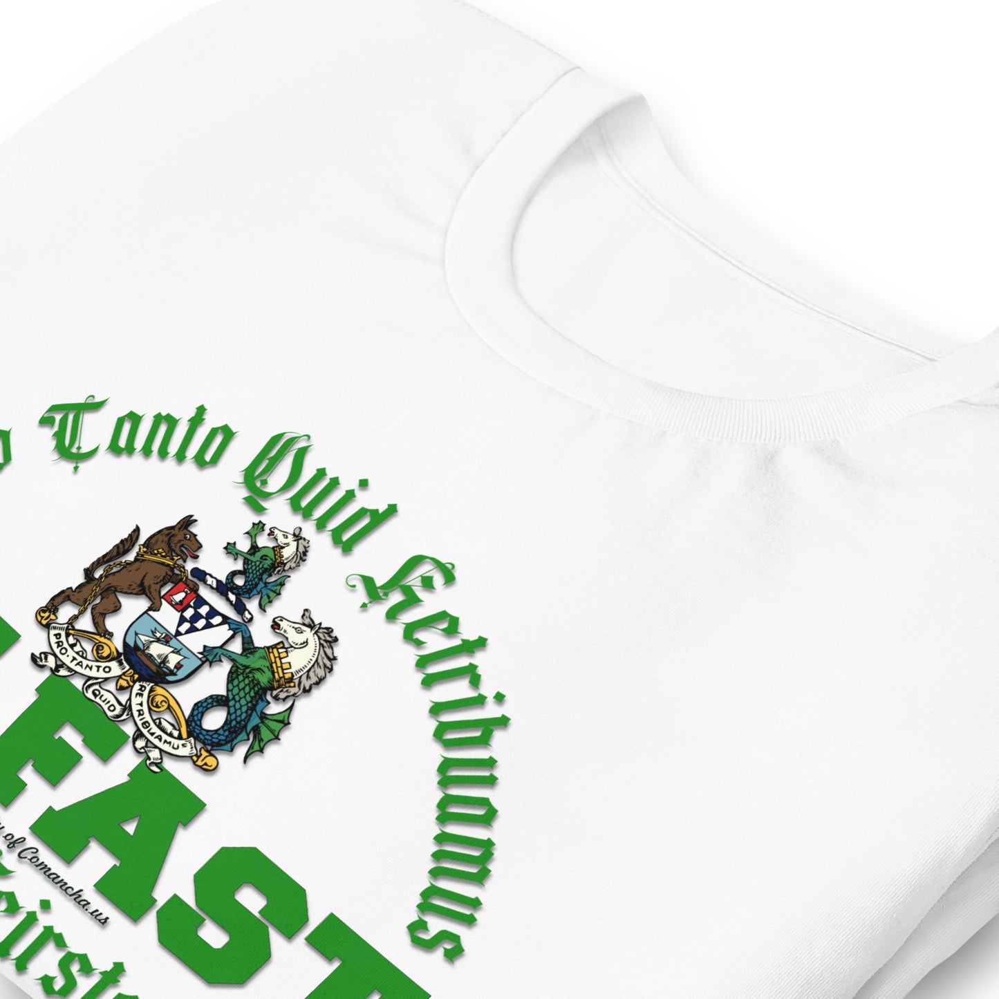 BELFAST tee, BELFAST T-shirt, BELFAST ireland tee,BELFAST Northern Ireland t-shirt, Comancha Graphics,