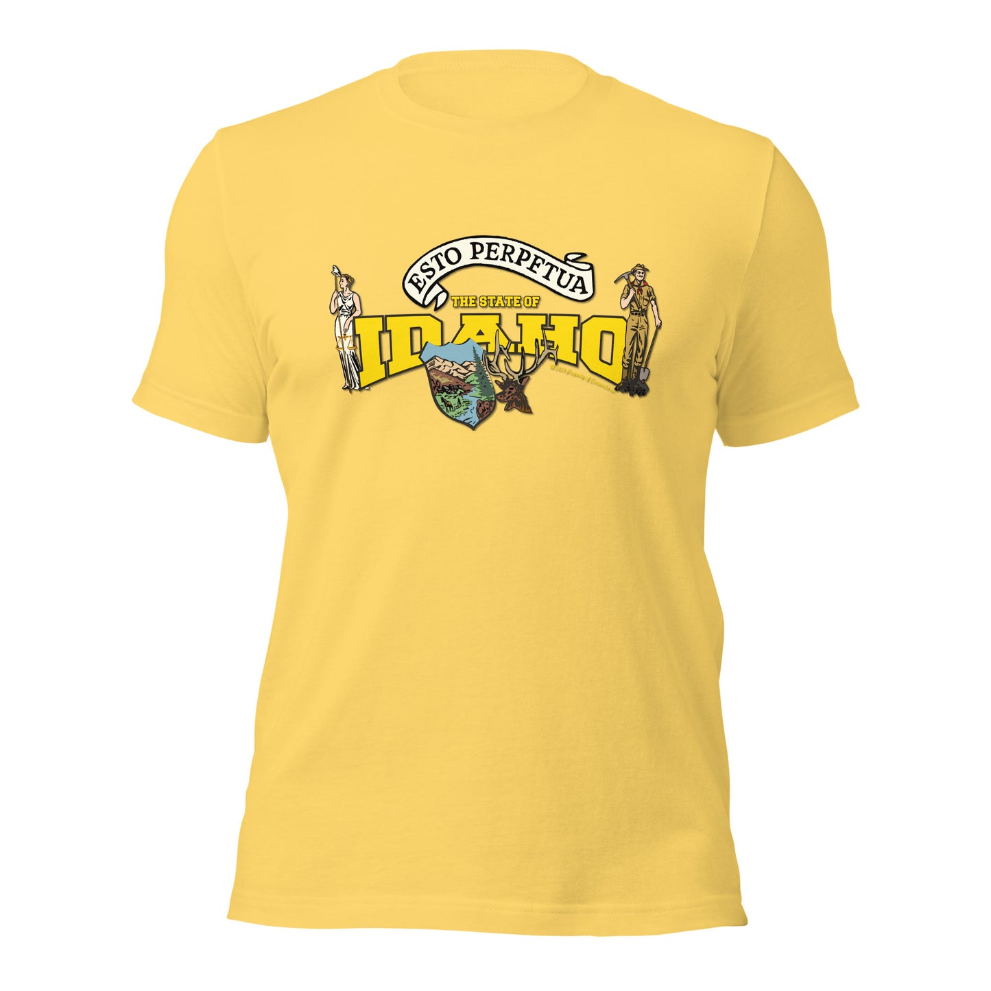 The State Of Nevada t-shirt