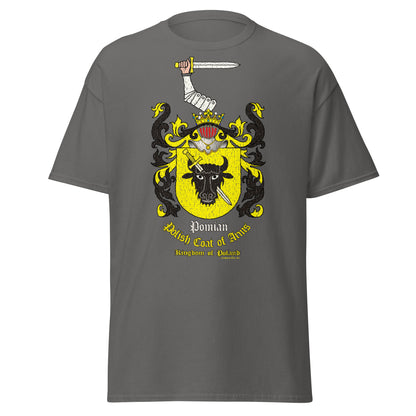 Pomian Herb Koszulka, Herb Rodowy Koszulka, Pomian Coats of Arms Tee, Comancha Graphics tee,