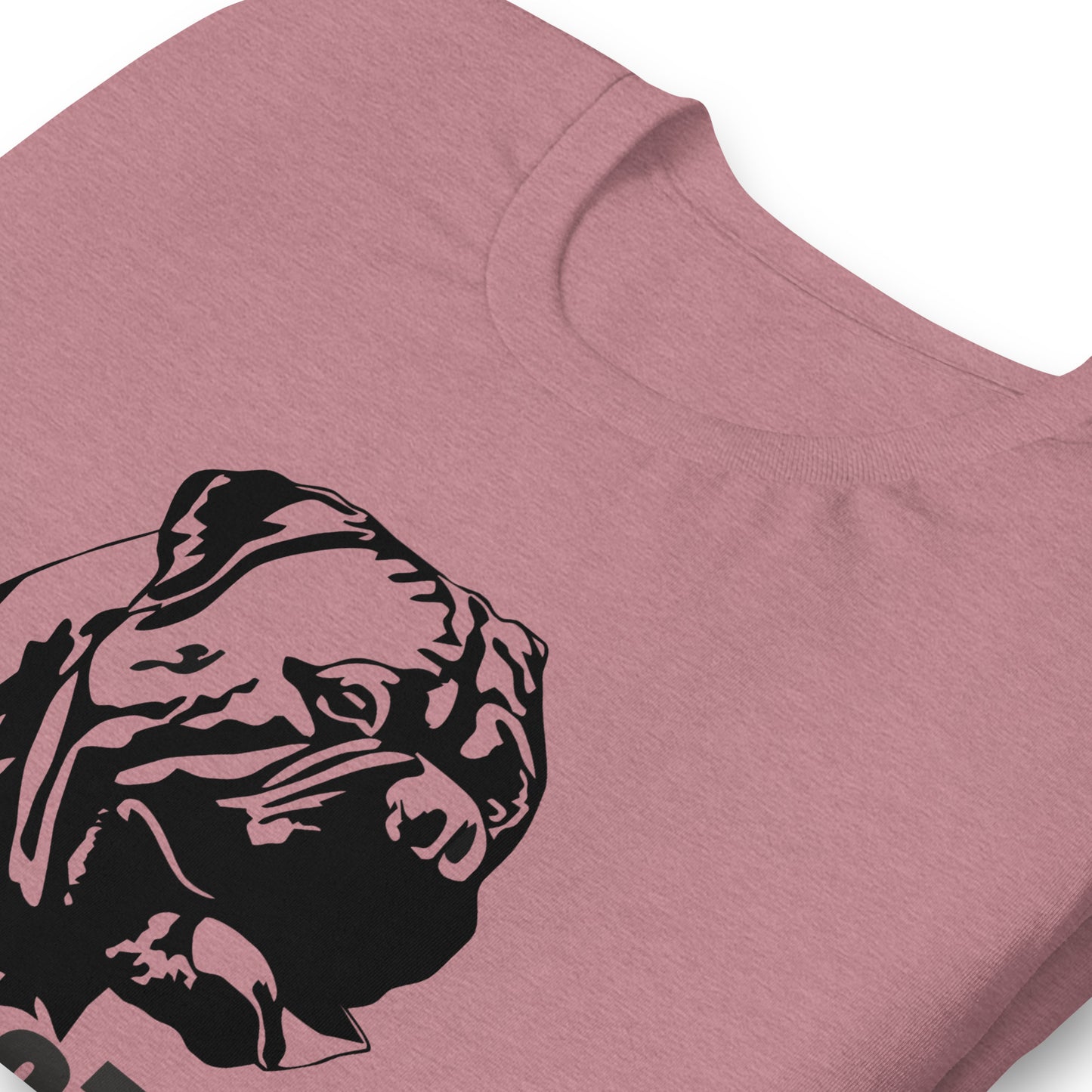 Bullmastiff Dog t-shirt