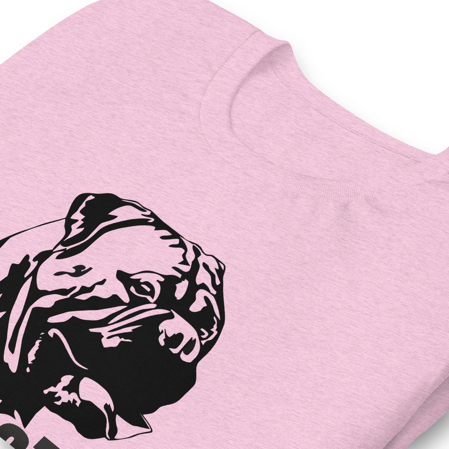 Bullmastiff Dog t-shirt