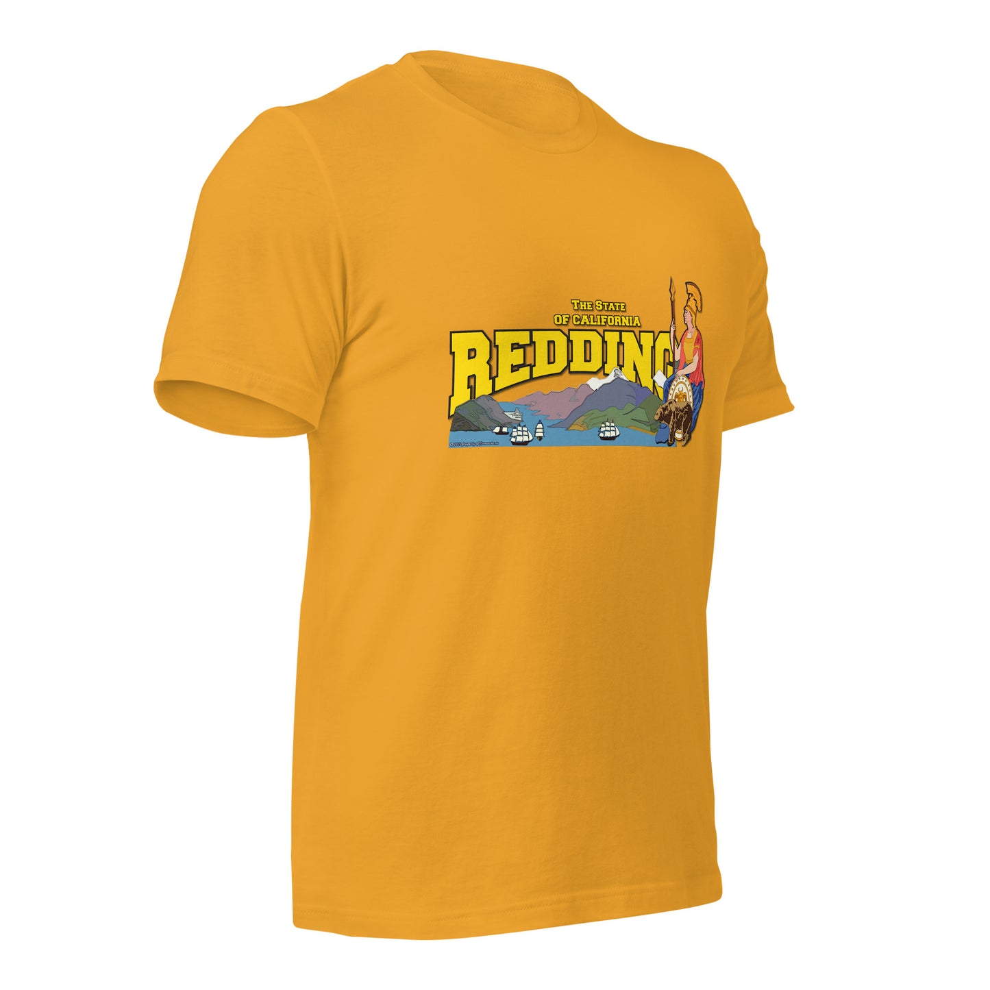 REDDING city California State tee,